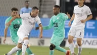مشاهدة مباراة السد والأهلي بث مباشر في الدوري القطري