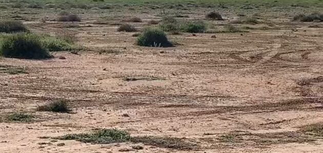 اكتشاف صادم.. شاهد مواطن يحذر من بئر عميق وسط كشتات العوائل