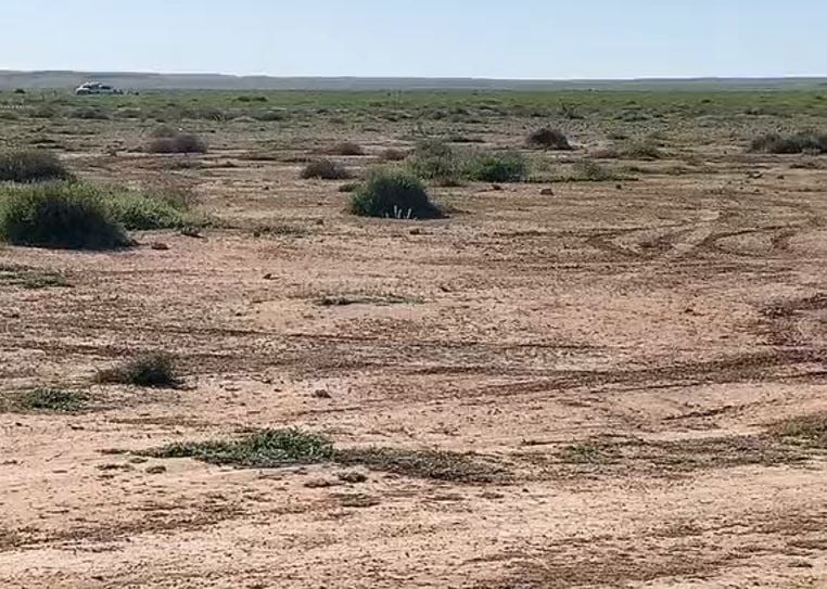 اكتشاف صادم.. شاهد مواطن يحذر من بئر عميق وسط كشتات العوائل