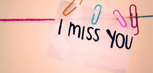 الرد على وحشتيني