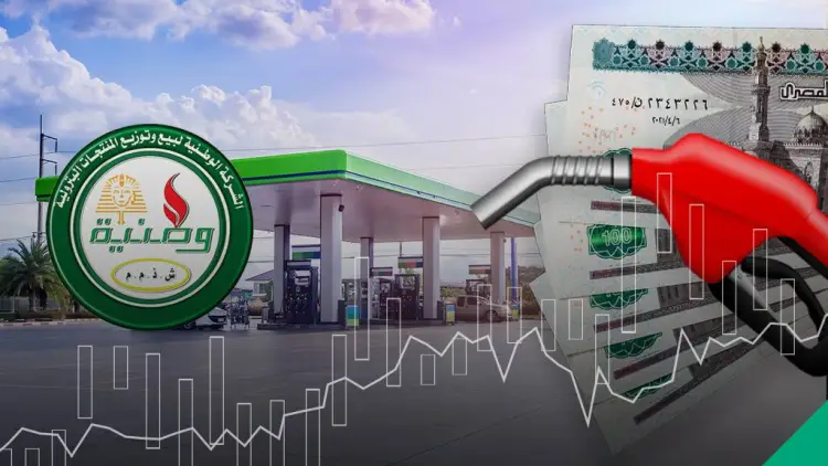بينهم سعودية.. تنافس 3 شركات خليجية في شراء إحدى أهم شركات الجيش المصري