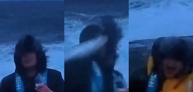 شاهد سمكة تباغت مراسلاً تلفزيونياً على وجهه خلال بث مباشر