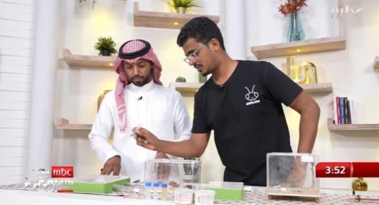 شاهد شاب سعودي يربي النمل ويوضح أنواعه وفوائده ويكشف عن سعر الملكة