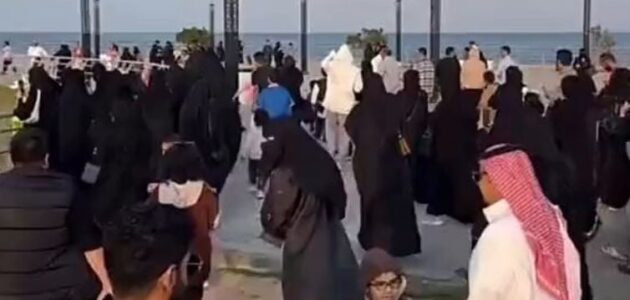 فيديو.. إقبال كبير على بحيرة في كورنيش الخبر لمشاهدة القط والبطة الشهيرين