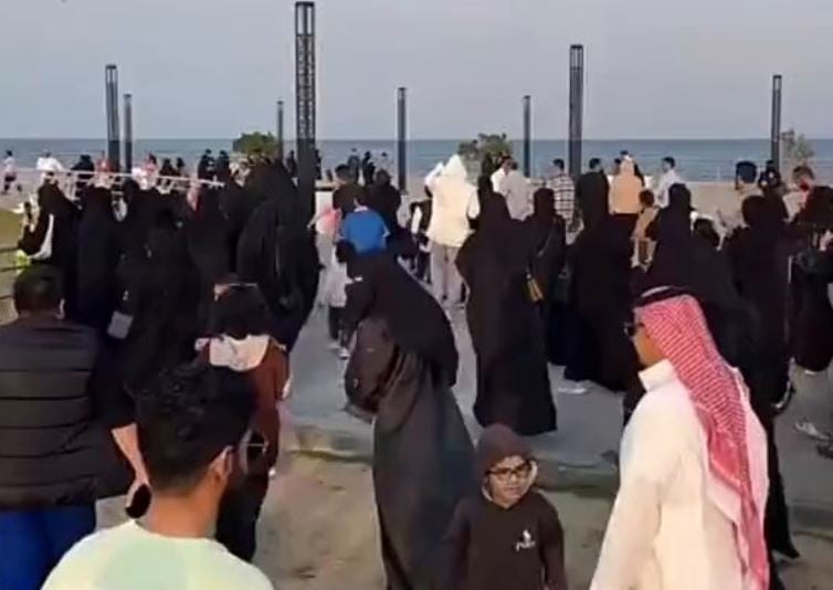 فيديو.. إقبال كبير على بحيرة في كورنيش الخبر لمشاهدة القط والبطة الشهيرين