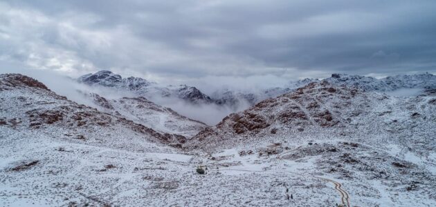 فيديو.. ثلوج جبل اللوز تزين تبوك