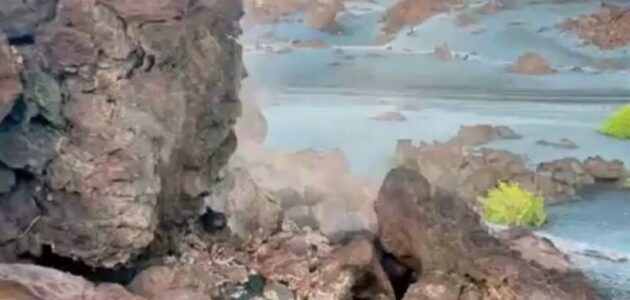 فيديو.. صقيع يغطي حرة العيص في المدينة المنورة ودرجات الحرارة تصل إلى 4 درجات تحت الصفر