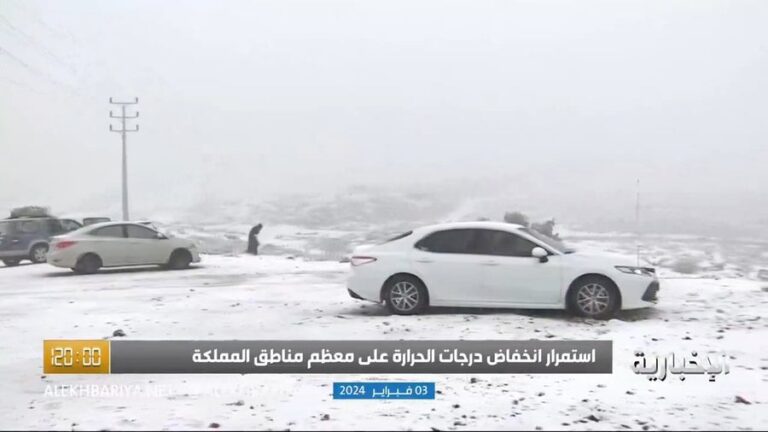 موجات البرد الحالية ليست الأخيرة وستزداد قوة خلال الشهر القادم -فيديو